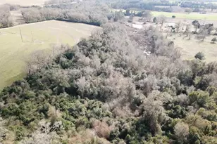 13 Acres Hwy 4, Jay, FL 32565 - Photo 1