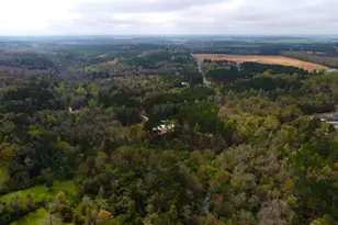 6071 W Hwy 4, Century, FL 32535 - Photo 26