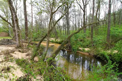 6071 W Hwy 4, Century, FL 32535 - Photo 16