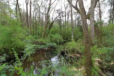 6071 W Hwy 4, Century, FL 32535 - Photo 18
