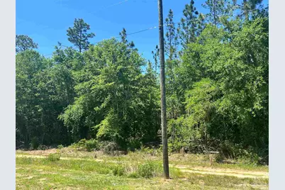 Colts Crossing Ln, Milton, FL 32570 - Photo 4
