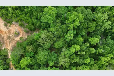S Chipper Rd, Cantonment, FL 32533 - Photo 4