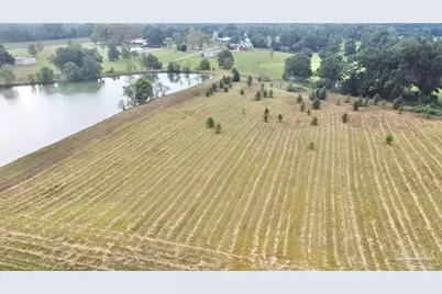 200 Block Howard Page Ln, Atmore, AL 36502 - Photo 6