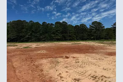 Lot 2 0 T Bridge Rd, Red Level, AL 36474 - Photo 2