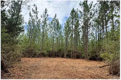 Parcel A Killian Dr, Milton, FL 32570 - Photo 10