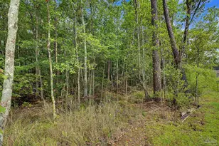 2549 Ten Mile Rd, Pace, FL 32571 - Photo 36