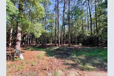 4753 Henry Wilson Creek Dri, Milton, FL 32583 - Photo 12