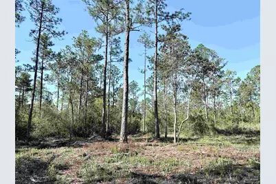 Del Monte St, Milton, FL 32583 - Photo 10