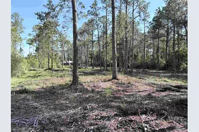 Del Monte St, Milton, FL 32583 - Photo 12