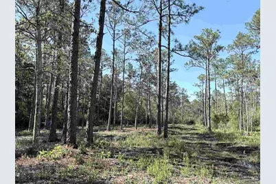 Del Monte St, Milton, FL 32583 - Photo 8
