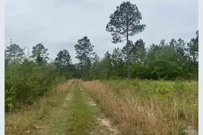 0 Walther Rd, Milton, FL 32570 - Photo 10