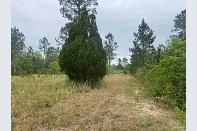 0 Walther Rd, Milton, FL 32570 - Photo 12