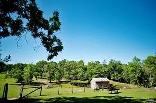 2001 Chavers Rd, Cantonment, FL 32533 - Photo 28