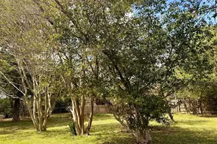 8816 Gibson Rd, Molino, FL 32577 - Photo 6