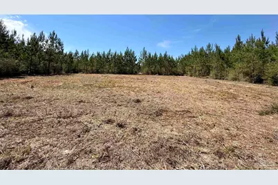 0000 Mineral Springs Rd, Jay, FL 32565 - Photo 8