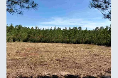 0000 Mineral Springs Rd, Jay, FL 32565 - Photo 6