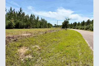 0000 Mineral Springs Rd, Jay, FL 32565 - Photo 10