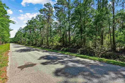 0000 Pearson Rd, Milton, FL 32583 - Photo 22