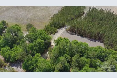 11.42 Acres Edge Forest Way, Pace, FL 32571 - Photo 26