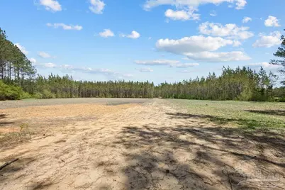 11.42 Acres Edge Forest Way, Pace, FL 32571 - Photo 14