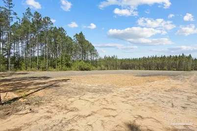11.42 Acres Edge Forest Way, Pace, FL 32571 - Photo 6