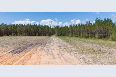 11.42 Acres Edge Forest Way, Pace, FL 32571 - Photo 34