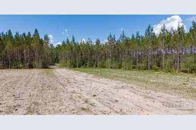 11.42 Acres Edge Forest Way, Pace, FL 32571 - Photo 32