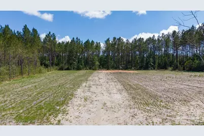 11.42 Acres Edge Forest Way, Pace, FL 32571 - Photo 36