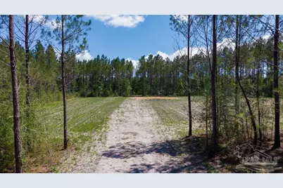 11.42 Acres Edge Forest Way, Pace, FL 32571 - Photo 38