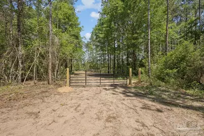 11.42 Acres Edge Forest Way, Pace, FL 32571 - Photo 6