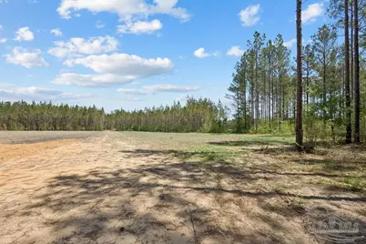 11.42 Acres Edge Forest Way, Pace, FL 32571 - Photo 8