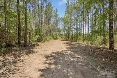 11.42 Acres Edge Forest Way, Pace, FL 32571 - Photo 10
