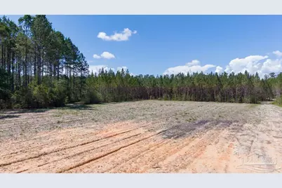 11.42 Acres Edge Forest Way, Pace, FL 32571 - Photo 30