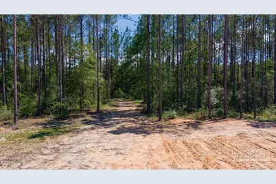 11.42 Acres Edge Forest Way, Pace, FL 32571 - Photo 36