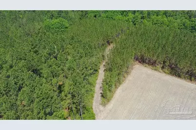 11.42 Acres Edge Forest Way, Pace, FL 32571 - Photo 26
