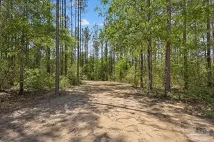 11 42 Acres Edge Forest Way, Pace, FL 32571 - Photo 1
