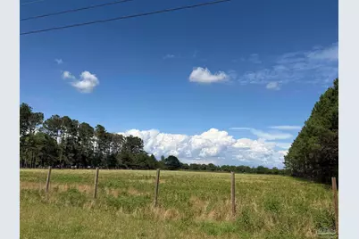 4400 Blk N Hwy 99, Walnut Hill, FL 32568 - Photo 2