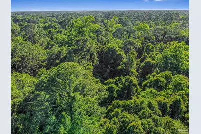 700 Wayne Ave, Pensacola, FL 32507 - Photo 18