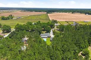 9105 Byrom Campbell Rd, Milton, FL 32571 - Photo 46