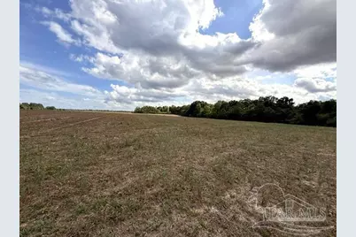 Lot 2 & 3 Tungoil Rd, Walnut Hill, FL 32568 - Photo 4