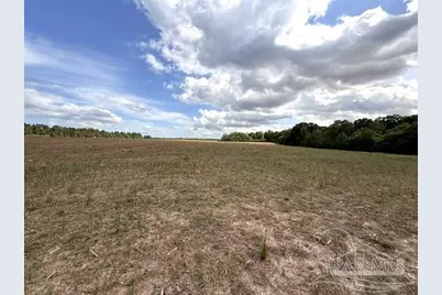 Lot 2 & 3 Tungoil Rd, Walnut Hill, FL 32568 - Photo 10