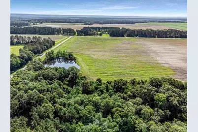 Lot 2 & 3 Tungoil Rd, Walnut Hill, FL 32568 - Photo 1