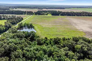 Lot 2 & 3 Tungoil Rd, Walnut Hill, FL 32568 - Photo 1