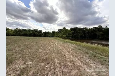 Lot 2 & 3 Tungoil Rd, Walnut Hill, FL 32568 - Photo 8