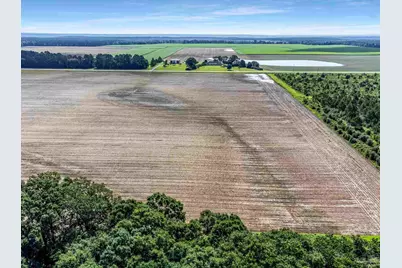 Lot 2 & 3 Tungoil Rd, Walnut Hill, FL 32568 - Photo 4