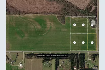 Lot 1 Tungoil Rd, Walnut Hill, FL 32568 - Photo 2