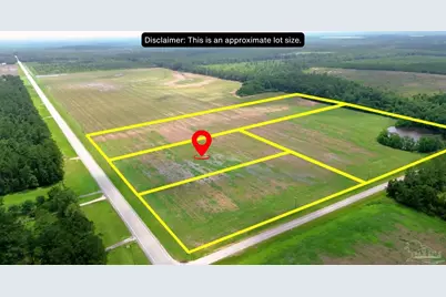 Lot 3 Hwy 97, Walnut Hill, FL 32568 - Photo 2