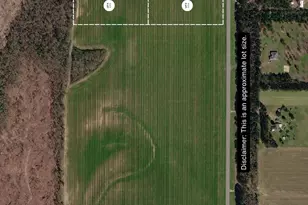 Lot 4 Hwy 97, Walnut Hill, FL 32568 - Photo 1