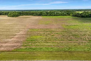 Lot 5 & 6 Hwy 97, Walnut Hill, FL 32568 - Photo 1