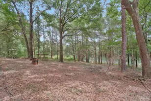 10290 W Lake Rd, Milton, FL 32583 - Photo 30
